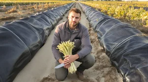 Landes : à 28 ans, cet ingénieur en cybersécurité produit des asperges, voici pourquoi